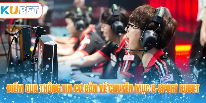 Điểm qua thông tin cơ bản về chuyên mục E-sport Kubet